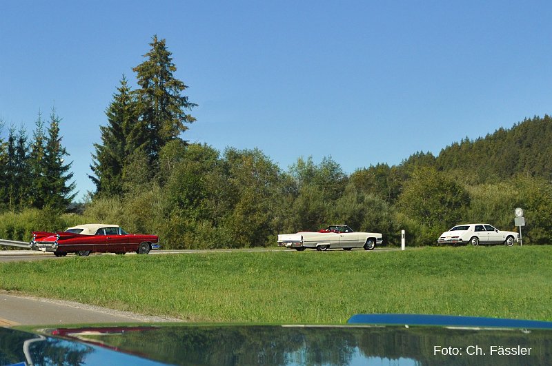 150_DSC_3554 r5.jpg